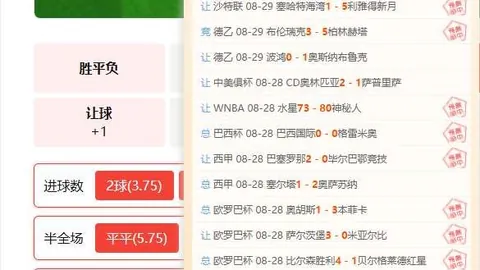 切尔西迎战布莱顿，首，新葡京app，发阵容未定，恩佐恐缺席首发悬念